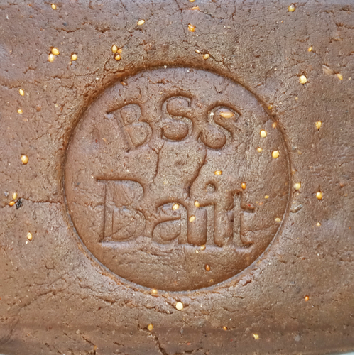 Bait / Boilie Paste Big Fish 60 (NEW LEVEL) - 1 Kg