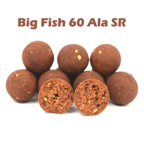 Big Deal - 20 kg Big Fish 60 Ala SR  Boilie f�r 8,90 &euro; / Kg + Gratis Liquid