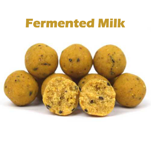 Big Deal - 20 kg Fermented Milk Boilie f�r 8,90 &euro; / Kg + Gratis Liquid