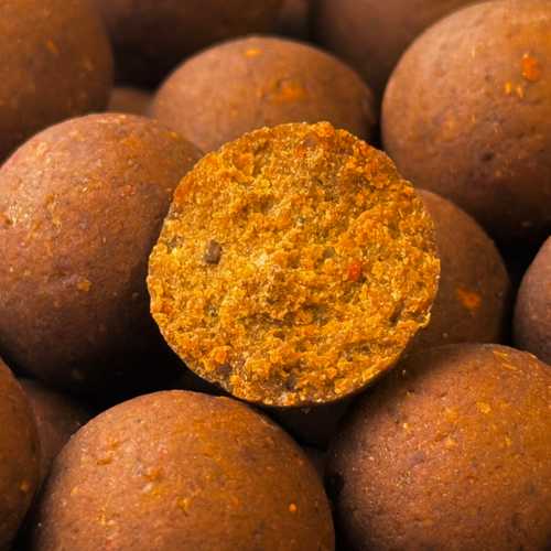BSS Herbst - Special - 3 x 5 kg Enzym HD Boilie + 1 x 5 kg Enzym HD Boilie GRATIS