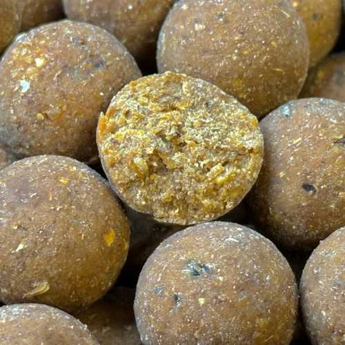 BSS Herbst - Special - 3 x 5 kg Hydro LEP Boilie + 1 x 5 kg Hydro LEP Boilie GRATIS