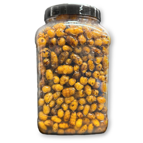 Prepared Tigernut XXL 2,5 Liter Konserviert