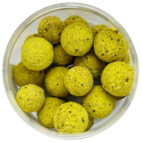 Attract Hookbaits Fermented Milk - 20 und 24 mm Rund