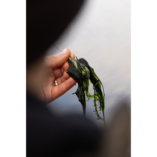 Korda Grapple Lead 2oz - 57g