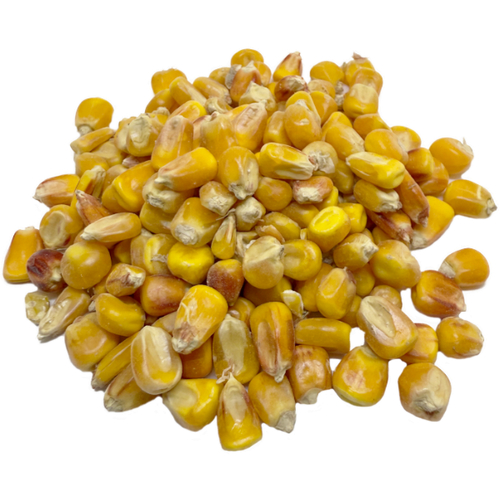 BSS - Mais gelb                5 Kg (Trocken)