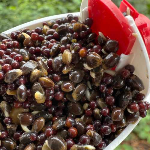 Hanf & Raps Mix &ndash; Angelfertig & Haltbar &ndash; 2,5kg und 5 kg