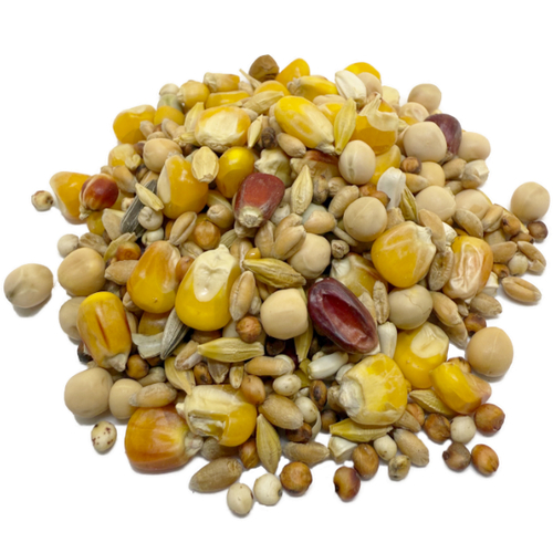 BSS - Combi Seed Mix all in                 5 Kg (Trocken)