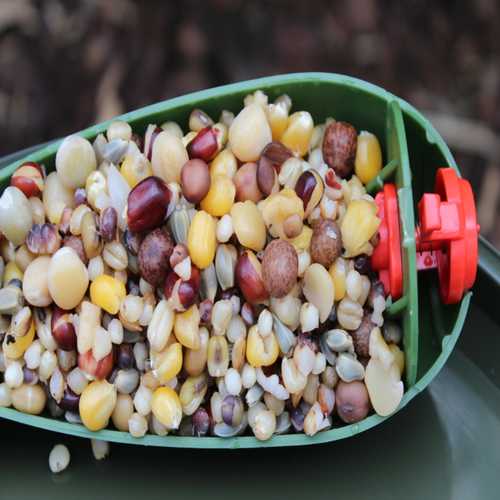 Bait Service Straubing - Prepared Combi Seed Mix all in -...